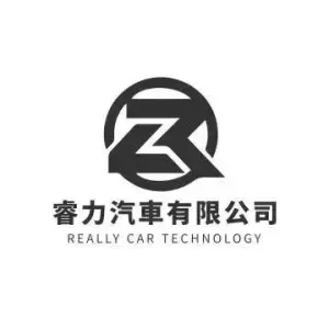 睿力汽車 300x300